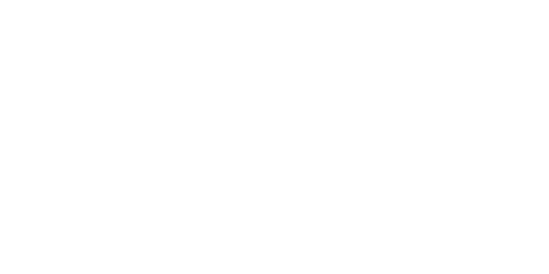 Digital Services icon